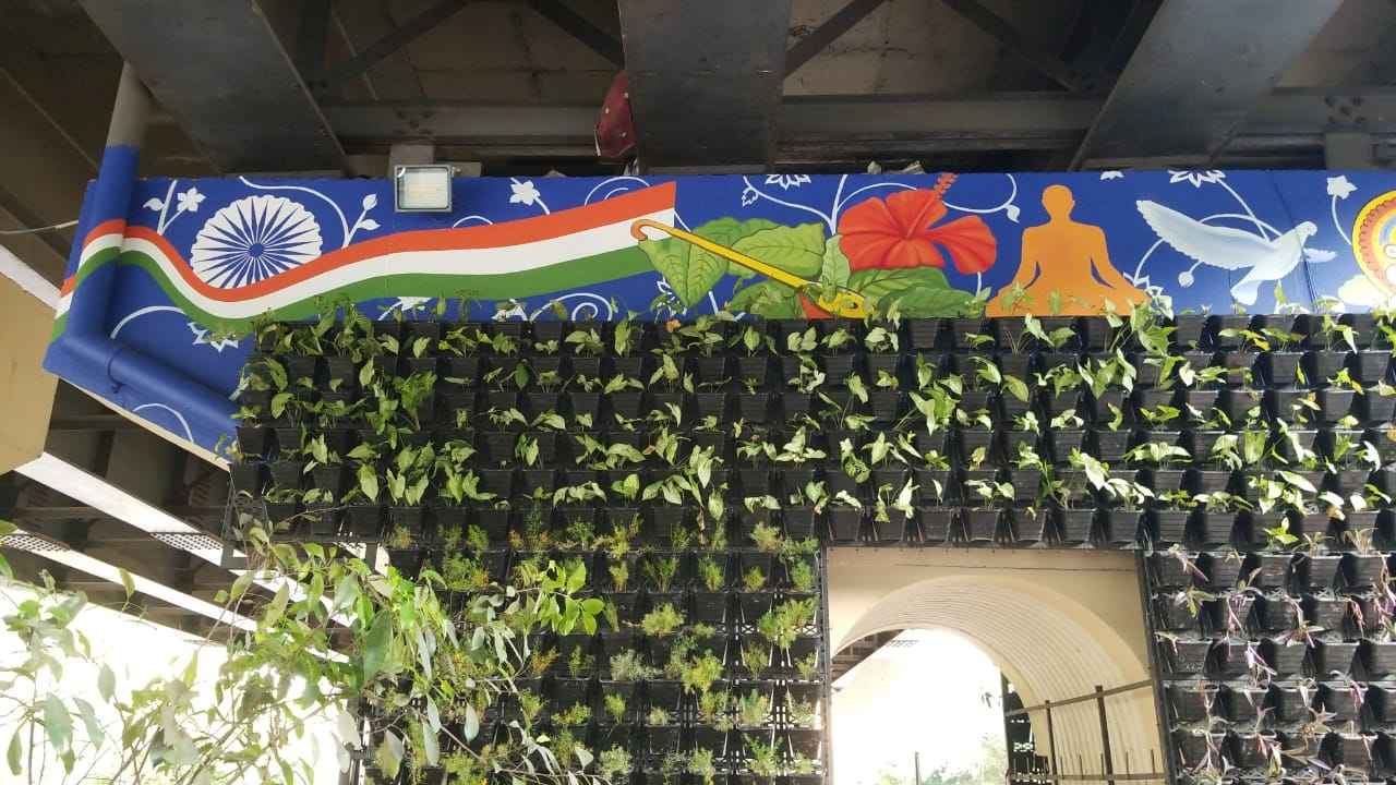 Graffiti Artist Near Me Wall Mural Painters in Gurgaon and Delhi NCR